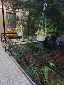a garden with three potted plants hanging from a fence at 2-Room Modern House in Naxçıvan