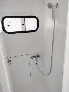 a shower in a bathroom with a mirror at Rem'Ann boat in Briare