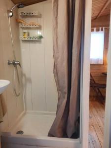 a shower with a shower curtain in a bathroom at Chalet au centre de Nice in Nice