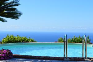 ein Schwimmbecken mit blauem Wasser und einer Palme in der Unterkunft Villa Quiete in Spadafora