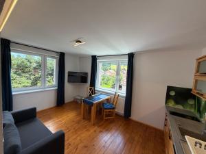 a living room with a couch and two windows at Apartmány pri Belej in Liptovský Hrádok