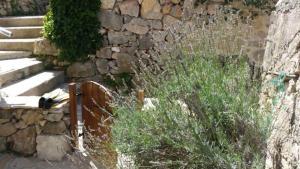 a stone wall with some tall grass next to some stairs at Buena Vis-ta Apartments with the Sea View in Vis
