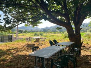 a group of tables and chairs under a tree at Albergue Hostel Barosa in Barro +4 photos