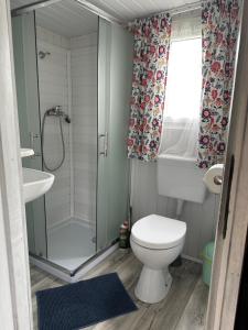 a bathroom with a shower and a toilet and a sink at Domki ALKANA - domek 3 in Nowęcin