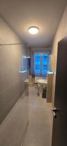 a bathroom with a shower and a toilet and a sink at Drei Schweizer Hotel in Neuwied