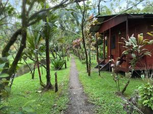 a path leading to a house in a forest at Cabañas Los Laguitos Rio Celeste in El Achiote