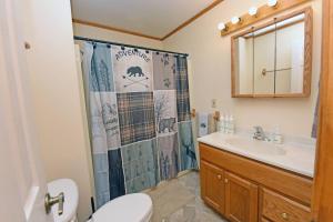 a bathroom with a toilet and a sink and a shower at S'more Waggin' Cabin: Pet-Friendly--wifi, firepit, pool table in Blue Ridge +33 photos
