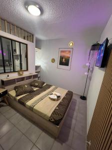a bedroom with a large bed in a room at Appartement bord de mer in Montjoly