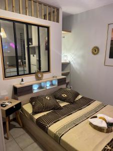 a bedroom with a large bed and a window at Appartement bord de mer in Montjoly