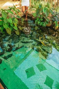 a person standing in a pool of water at Carneiros Paradiso in Praia dos Carneiros