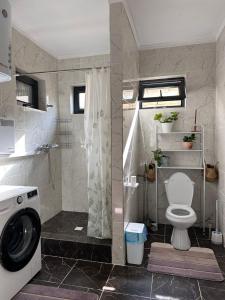 a bathroom with a washing machine and a toilet at Dream Guest House in Bosteri +28 photos
