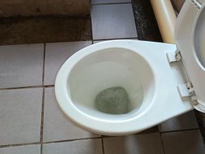 a white toilet with a rock in the bowl at Potch Guest Home in Potchefstroom