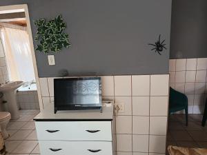 a bathroom with a tv on top of a counter at Potch Guest Home in Potchefstroom