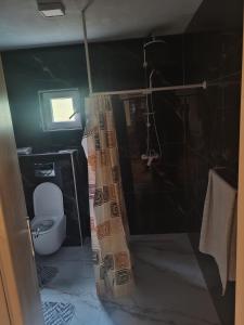 a bathroom with a toilet and a shower curtain at Green Escape in Zavidovići +45 photos