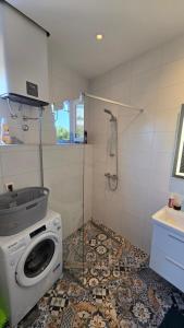 a washing machine in a bathroom with a shower at CANj LOUNGE STUDIO in Čanj +19 photos