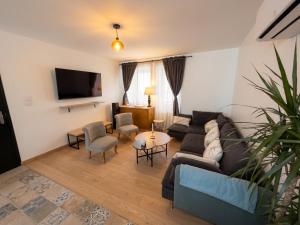 a living room with a couch and a tv at La Suite Celeste in Nuits-Saint-Georges