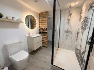 a bathroom with a toilet and a shower at La Suite Celeste in Nuits-Saint-Georges
