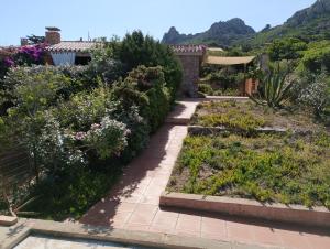 a garden with flowers and a pathway at Villa Paradiso holidays in Costa Paradiso