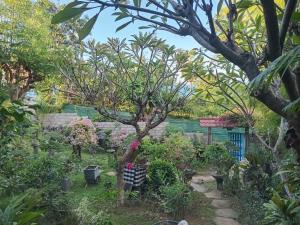a garden with a tree in a yard at Nyoman Guest House 1 in Ambat