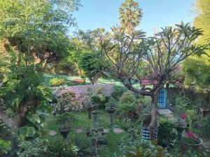 a garden with trees and flowers and a blue gate at Nyoman Guest House 1 in Ambat