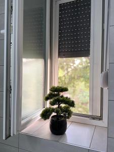 a plant sitting on a window sill in front of a window at Bella stan na dan in Široki Brijeg