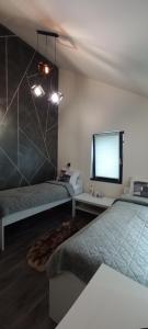 a bedroom with two beds and a flat screen tv at Chalet Terra Transfăgărășan in Cerbureni