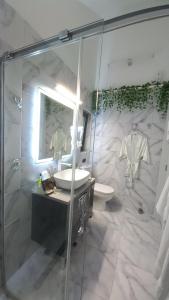 a bathroom with a shower and a sink and a toilet at Chalet Terra Transfăgărășan in Cerbureni +57 photos