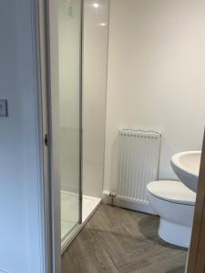 a bathroom with a shower and a toilet and a sink at Stoney suites in Stonehaven