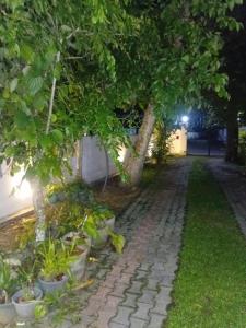 a cobblestone pathway with trees and potted plants at 7C Villa in Galle