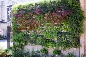 Giardino di Free Time B&B