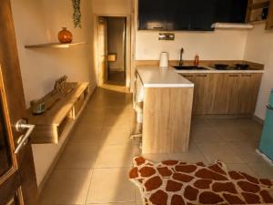 a kitchen with a giraffe rug on the floor at AYA Stay in Andoharanofotsy