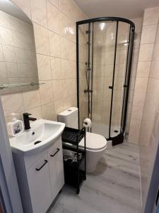 a bathroom with a shower and a sink and a toilet at Błękitna Fala in Ustka +36 photos