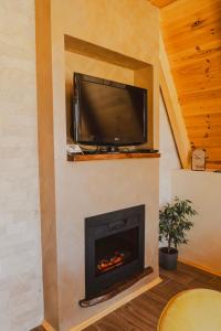 a living room with a fireplace and a tv at Sunrise House in Plužine