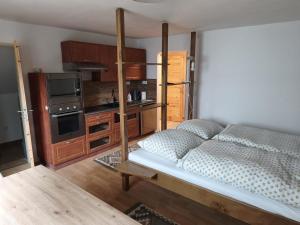 a bedroom with a bunk bed and a kitchen at Guest House Hartenberg in Sokolov +17 photos