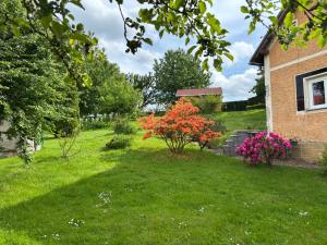 a yard with a red tree in the grass at Guest House Hartenberg in Sokolov