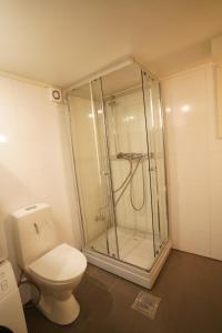 a bathroom with a shower and a toilet at Comfort Apartment in Tromsø