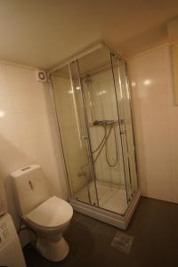 a bathroom with a shower and a toilet at Comfort Apartment in Tromsø