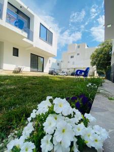 a pile of white flowers in the grass in front of a house at Cozy Apartments in Ulcinj