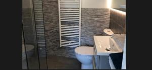 a bathroom with a toilet and a sink at Maison avec accès piscine partagée in Colmar +15 photos