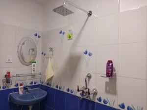 a bathroom with a sink and a mirror at Stupas, Temples and Coffee 2BR Flat in Kathmandu in Kathmandu