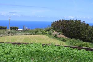 a golf course with the ocean in the background at Casa das Brisas Matinais in Conceição