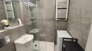 a bathroom with a shower and a toilet and a sink at Przy Głównej in Zamość