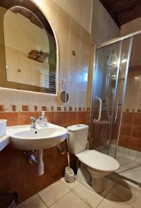 a bathroom with a toilet and a sink and a shower at Cicha Chata in Wójtowa +10 photos