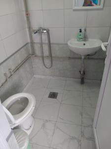 a bathroom with a toilet and a sink at Apartmant Lidija in Nov Dojran
