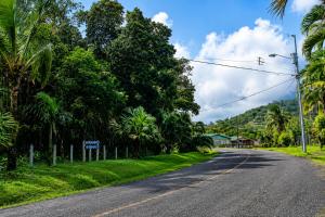 an empty road with palm trees on the side of the road at Arenal Rental CASA PALMERA UNO in Arenal