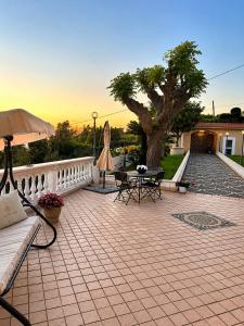 a patio with a table and chairs and a tree at Villa Antonietta Ischia in Forio d'Ischia