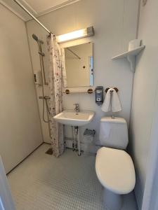 a bathroom with a toilet and a sink at Halden Motell in Halden +29 photos
