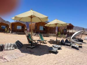a group of chairs and umbrellas on a beach at Genena Eco-lodge in Nuweiba +23 photos