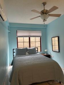 a bedroom with a bed with a ceiling fan at NMG Comforts in Roseau
