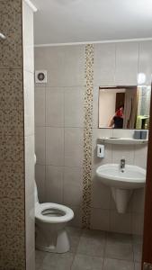 a bathroom with a toilet and a sink at Tranzit in Mihai Viteazu